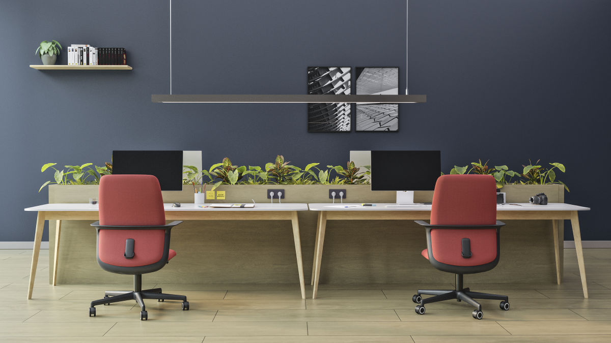 Fauteuil "ANY" dossier moyen – Image 3